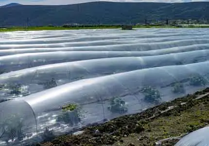 농업에 고분자 안정제 응용