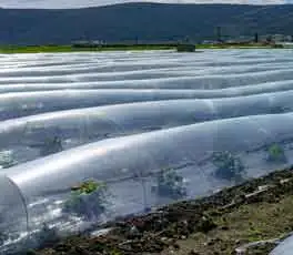 농업에 고분자 안정제 응용