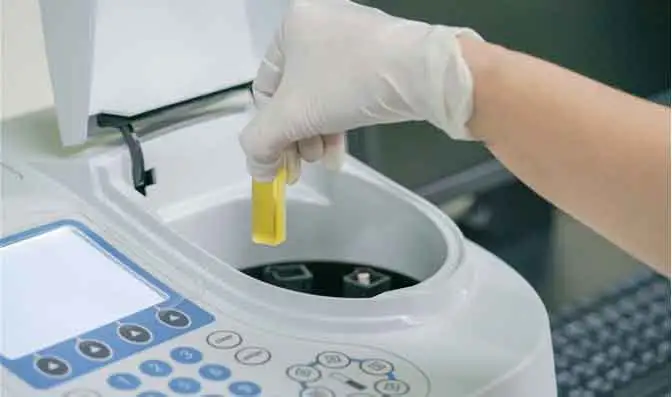 연구 개발 기능