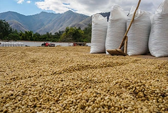 고분자 항산화제의 제조 공정
