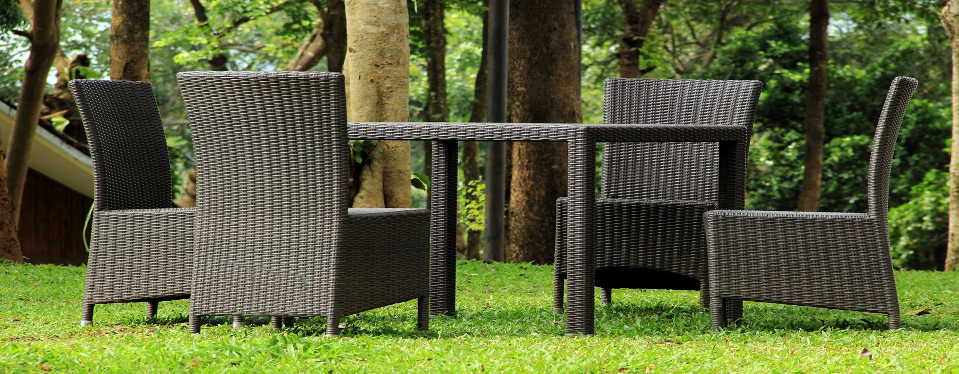 벤조트리아졸 UV 흡수기