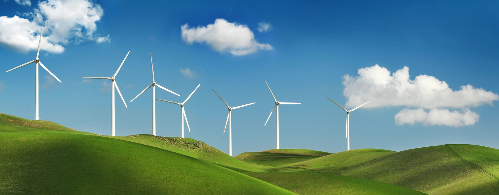 무료 급진 광 개시제-유형 II